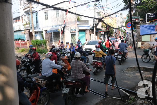 Phố đường Tàu ở Sài Gòn: Hàng rào kiên cố, người dân vui vẻ... trồng rau, nuôi gà, chụp hình &quot;sống ảo&quot; - Ảnh 1.