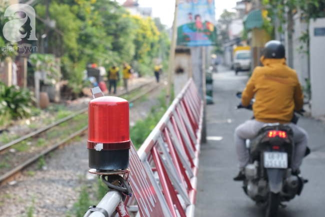 Phố đường Tàu ở Sài Gòn: Hàng rào kiên cố, người dân vui vẻ... trồng rau, nuôi gà, chụp hình &quot;sống ảo&quot; - Ảnh 3.