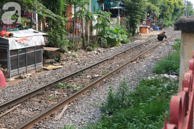 Phố đường Tàu ở Sài Gòn: Hàng rào kiên cố, người dân vui vẻ... trồng rau, nuôi gà, chụp hình &quot;sống ảo&quot; - Ảnh 5.