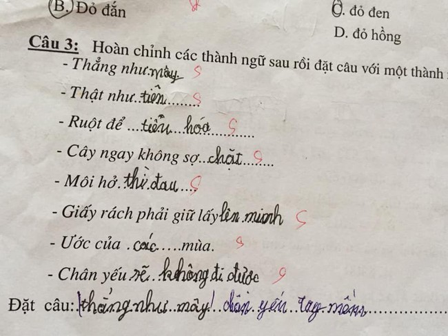 Cười ra nước mắt với loạt bài điền thành ngữ của học sinh - Ảnh 4.