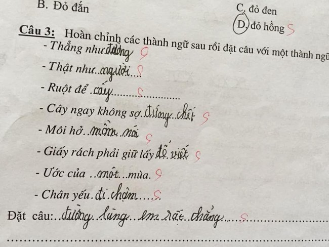 Cười ra nước mắt với loạt bài điền thành ngữ của học sinh - Ảnh 5.