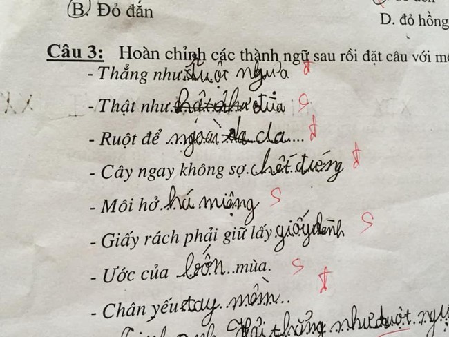 Cười ra nước mắt với loạt bài điền thành ngữ của học sinh - Ảnh 8.