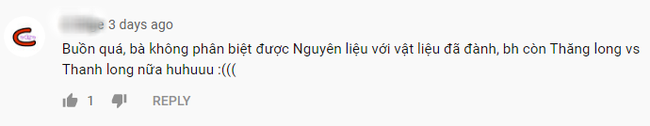 Hì hục làm que kem khổng lồ 60kg từ thanh long ruột đỏ, bà Tân Vlog lại bị &quot;bắt lỗi&quot; đủ thứ, còn bị dân mạng hỏi khó, chê &quot;không có tính giáo dục&quot; - Ảnh 8.