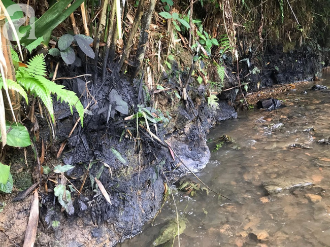Đã tìm ra chất bẩn xuất phát từ đầu nguồn vào nhà máy nước Sông Đà  - Ảnh 4.