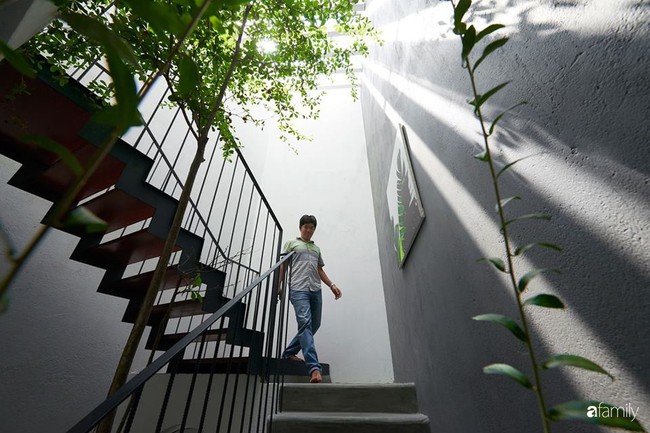 Ngôi nhà phố ngập tràn cây xanh và ánh nắng dù kín cổng cao tường ở Sài Gòn của cặp vợ chồng thành đạt quê gốc miền Trung - Ảnh 18. Ngôi nhà phố ngập tràn cây xanh và ánh nắng dù kín cổng cao tường ở Sài Gòn của cặp vợ chồng thành đạt quê gốc miền Trung - Ảnh 18.