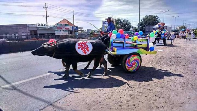 Màn rước dâu &quot;cồng kềnh&quot; nhất là đây: Mang cả ghế salon đặt lên xe hoa để đưa vợ về nhà tại Nghệ An! - Ảnh 5.