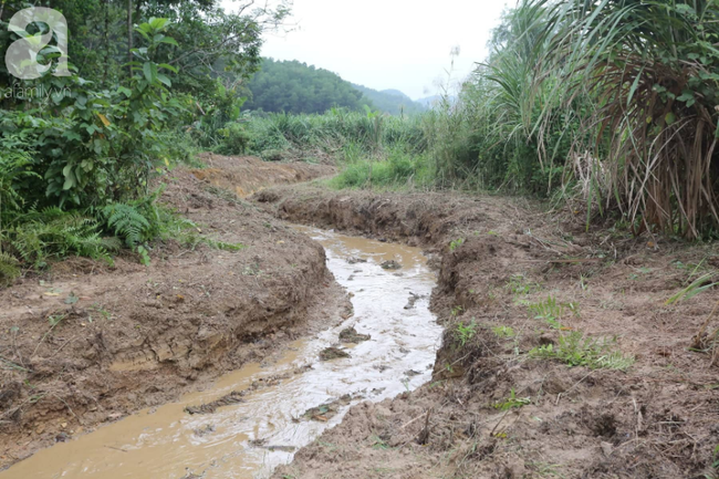 Nạo vét hiện trường vụ đổ trộm dầu đầu nguồn nước sông Đà: Công nhân nạo vét phải bịt mũi vì mùi khét nồng nặc của dầu thải dưới lòng suối - Ảnh 12.