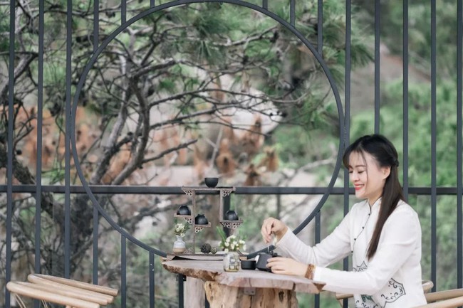 Người phụ nữ dành cả phần còn lại của cuộc đời mình cho việc tạo không gian sống đẹp yên bình trên núi - Ảnh 2. Người phụ nữ dành cả phần còn lại của cuộc đời mình cho việc tạo không gian sống đẹp yên bình trên núi - Ảnh 2.