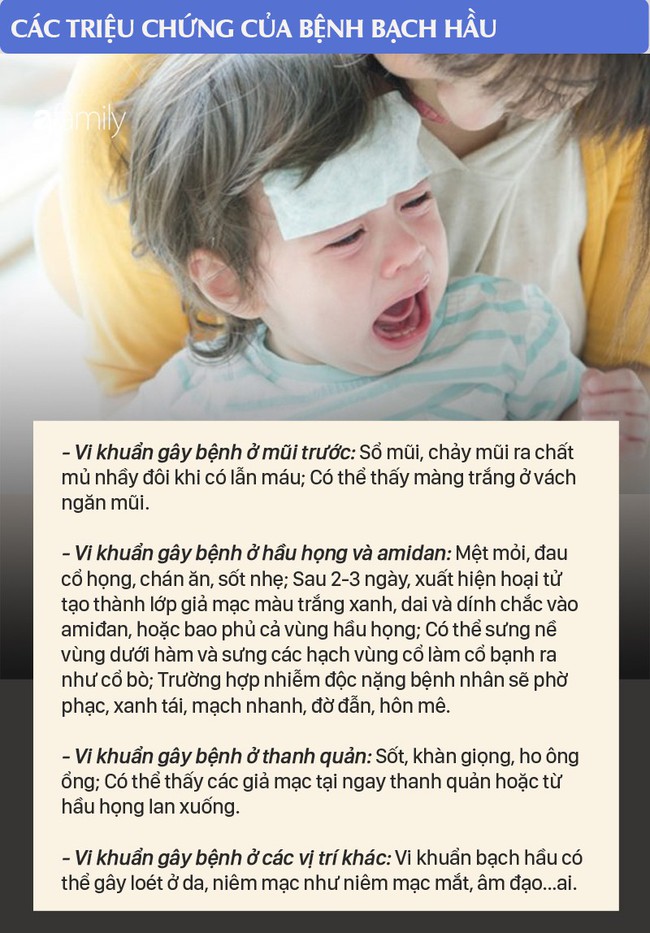 Bệnh bạch hầu có thể gây liệt cơ, viêm cơ tim, tử vong trong 6 ngày: Đừng bỏ qua triệu chứng bệnh bạch hầu - Ảnh 2.