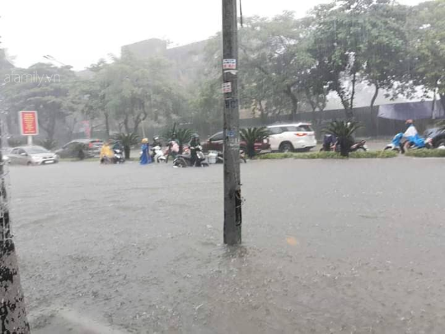 Thành phố Vinh và nhiều địa phương miền Trung chìm trong biển nước sau 2 ngày mưa lớn  - Ảnh 5.