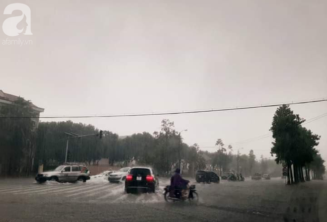Thành phố Vinh và nhiều địa phương miền Trung chìm trong biển nước sau 2 ngày mưa lớn  - Ảnh 7.