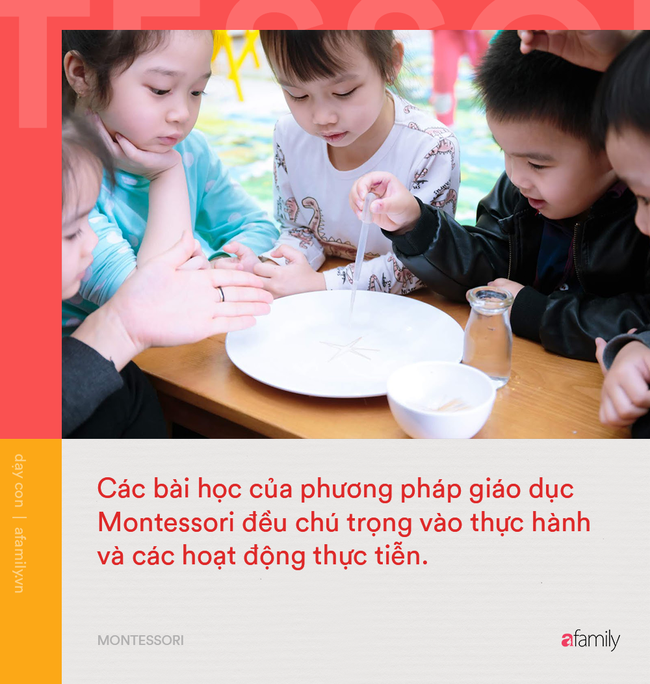 10 điểm khác biệt giữa phương pháp Montessori và giáo dục truyền thống: Montessori giúp trẻ phát triển toàn diện hơn hẳn! - Ảnh 3. 10 điểm khác biệt giữa phương pháp Montessori và giáo dục truyền thống: Montessori giúp trẻ phát triển toàn diện hơn hẳn! - Ảnh 3.