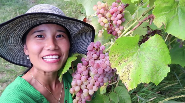 Youtuber Nhung Hà mê hoặc các bà nội trợ Việt với những clip thu hoạch rau củ xanh mướt mắt - Ảnh 2.