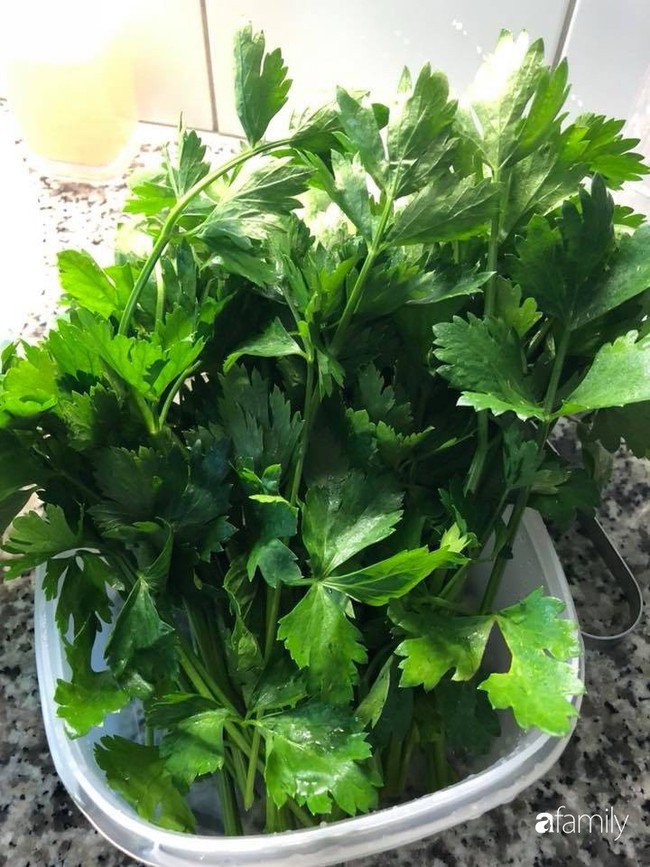 Ban công nhỏ trồng đủ loại rau Việt mẹ chăm bón cho con gái thưởng thức ở Thụy Sĩ - Ảnh 19. Ban công nhỏ trồng đủ loại rau Việt mẹ chăm bón cho con gái thưởng thức ở Thụy Sĩ - Ảnh 19.