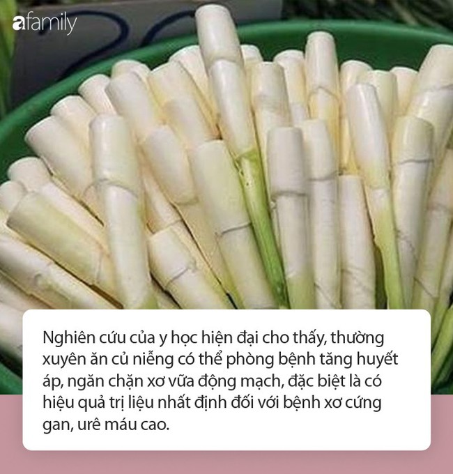 Tận dụng củ niễng chữa bệnh theo hướng dẫn của chuyên gia Đông y để vừa ăn ngon vừa sống khỏe trong mùa thu này - Ảnh 3.