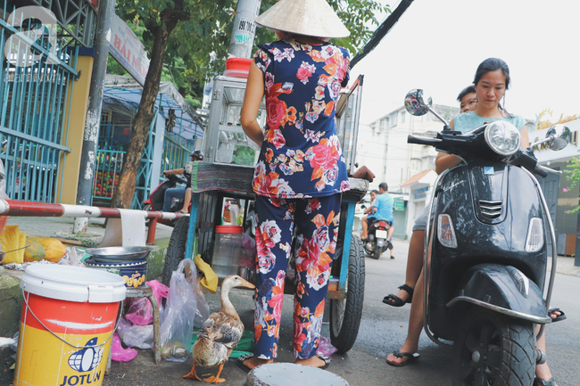 Câu chuyện kỳ lạ về tình mẫu tử của người phụ nữ bán trái cây và chú vịt biết làm nũng ở Sài Gòn - Ảnh 7.