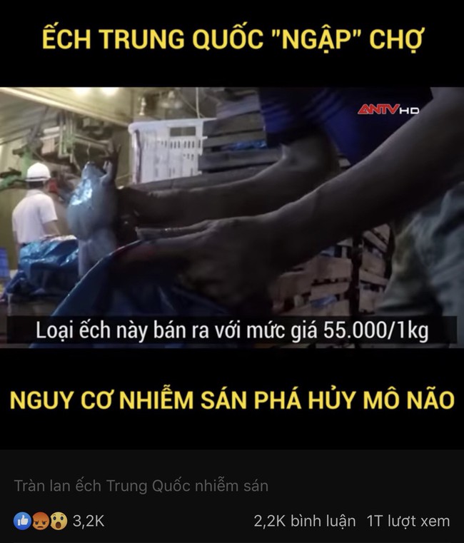 Ếch Trung Quốc nhiễm sán “ngập” chợ dân sinh: Người dân có nên ăn không? Và ăn như thế nào để không mắc bệnh? - Ảnh 1.