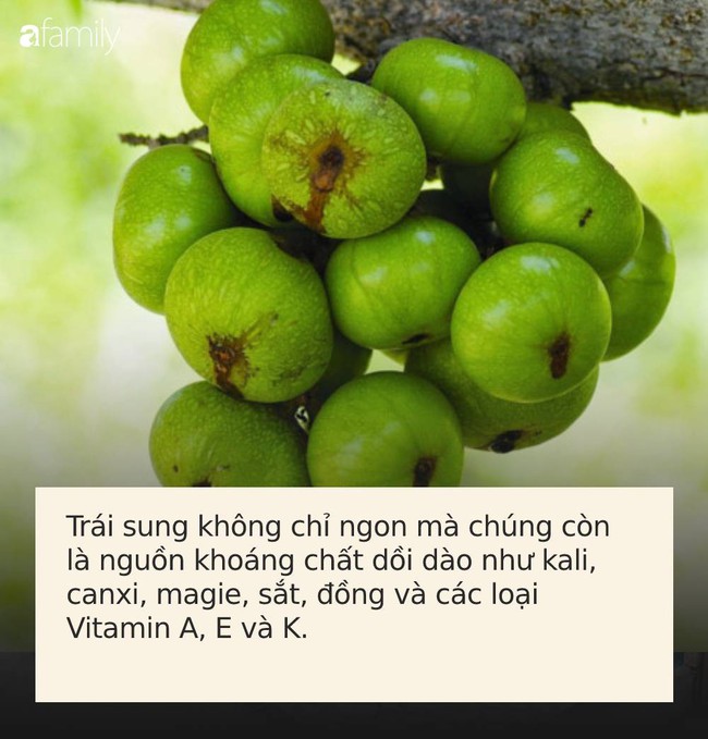 Sáng ngủ dậy hãy ăn ngay các loại trái cây tươi ngon này, cơ thể bạn sẽ “trẻ mãi không già” tốt hơn dùng thuốc bổ - Ảnh 3.