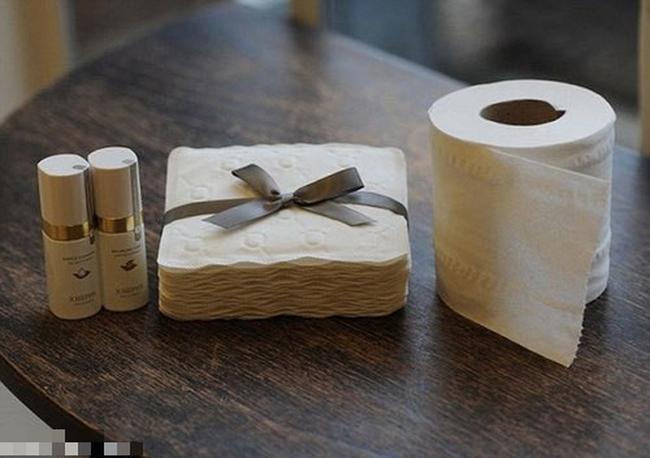 Ở Việt Nam bị thơ ơ nhưng giấy vệ sinh tại nước ngoài lại có giá đắt cắt cổ với muôn hình vạn trạng thu hút khách hàng - Ảnh 11.