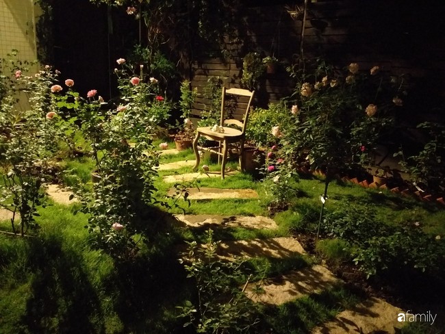 Khu vườn hoa hồng ngọt ngào mang chút hoài niệm của cặp vợ chồng cùng dành thời gian chăm chút ở An Giang - Ảnh 1.