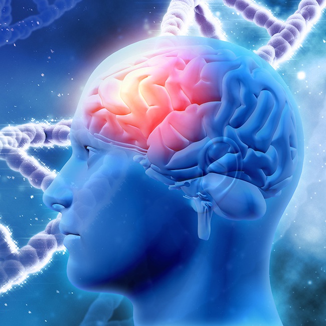 Nhiều người có vấn đề về trí nhớ mà không hề hay biết, bạn hãy làm nhanh bài test này để có câu trả lời cho mình - Ảnh 3. Nhiều người có vấn đề về trí nhớ mà không hề hay biết, bạn hãy làm nhanh bài test này để có câu trả lời cho mình - Ảnh 3.