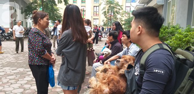 Hà Nội: Cháy chung cư vắng chủ nhà, người già ôm trẻ nhỏ chạy bộ từ tầng cao xuống - Ảnh 7. Hà Nội: Cháy chung cư vắng chủ nhà, người già ôm trẻ nhỏ chạy bộ từ tầng cao xuống - Ảnh 7.