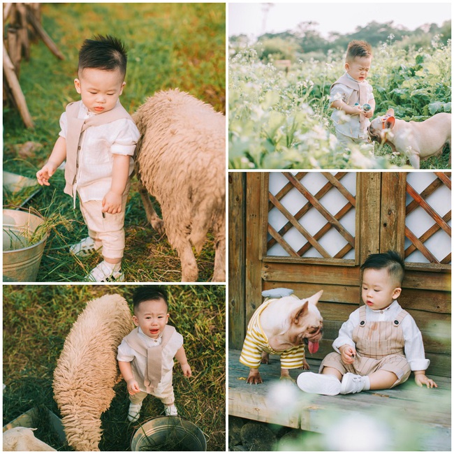 Cười lăn với bộ ảnh cậu bé chăn cừu bên &quot;suối nước mắt&quot; cực kute của bé trai 1 tuổi - Ảnh 3.