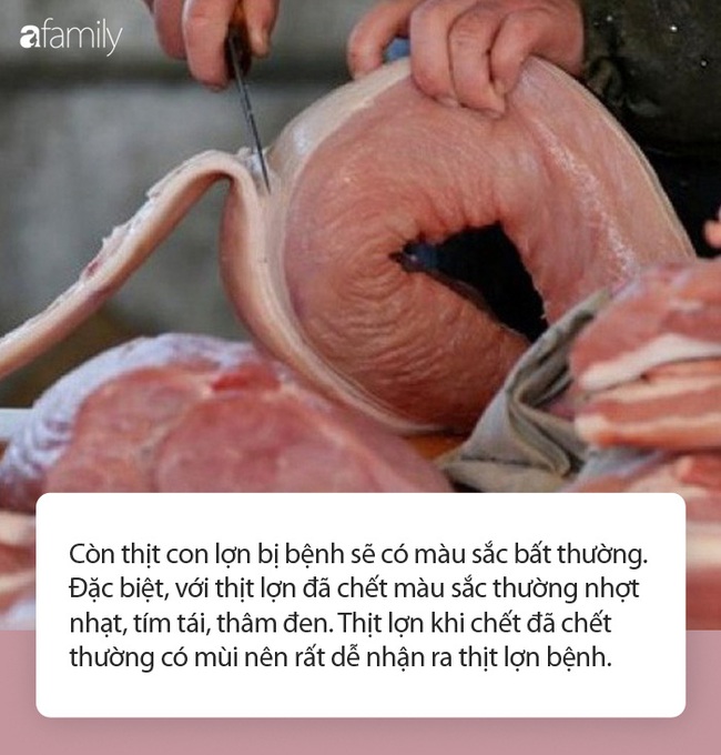 Chưa đến Tết đã có người suýt chết do liên cầu khuẩn lợn: Chuyên gia lưu ý điều quan trọng khi mua thịt lợn - Ảnh 4.