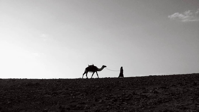 Câu chuyện lạc đà đi xuyên sa mạc không cần ăn uống và bài học đáng giá dành cho chị em công sở - Ảnh 3.