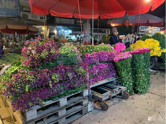 Chợ Quảng An: Địa điểm mua hoa lý tưởng cả về chất và lượng cho người tiêu dùng vào sát ngày Nhà giáo Việt Nam 20/11 - Ảnh 5.