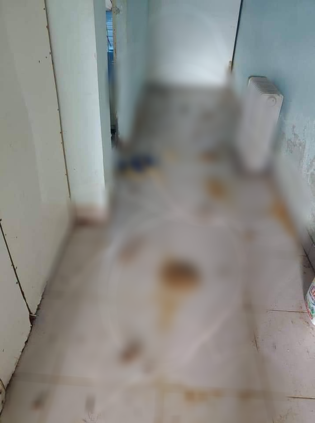 Cô gái trẻ đẹp núp bóng cứu hộ động vật để kêu gọi quyên góp rồi bỏ mặc nhiều chú chó chết trong căn nhà đầy chất thải - Ảnh 4. Cô gái trẻ đẹp núp bóng cứu hộ động vật để kêu gọi quyên góp rồi bỏ mặc nhiều chú chó chết trong căn nhà đầy chất thải - Ảnh 4.
