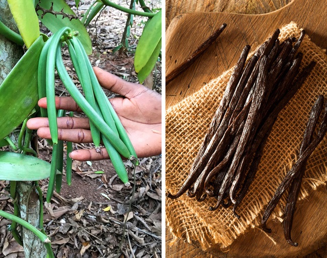 Ăn những gia vị này mỗi ngày thế nhưng &quot;bộ mặt thật&quot; của chúng như thế nào, bạn biết không? - Ảnh 6.