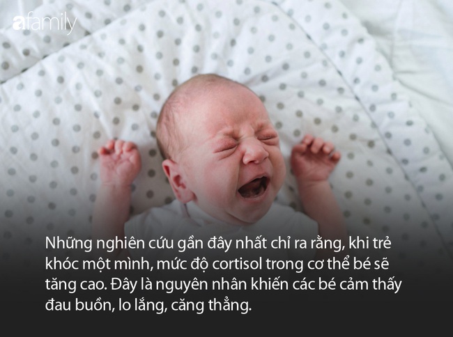 Mặt trái của phương pháp luyện ngủ Cry It Out khiến nhiều cha mẹ giật mình - Ảnh 4.