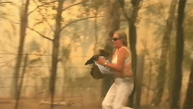 Cư dân mạng xúc động rơi nước mắt với hình ảnh người phụ nữ lao vào đám lửa lớn để giải cứu cho một chú gấu Koala đang bị thương nặng - Ảnh 5.