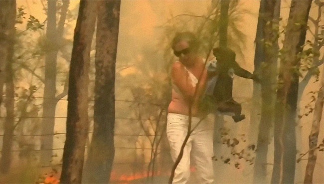 Cư dân mạng xúc động rơi nước mắt với hình ảnh người phụ nữ lao vào đám lửa lớn để giải cứu cho một chú gấu Koala đang bị thương nặng - Ảnh 4.