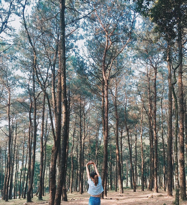 Cách Hà Nội 60km lái xe, đây đích thị là địa điểm lý tưởng để cha mẹ đưa con cái đi vui chơi cuối tuần - Ảnh 4.