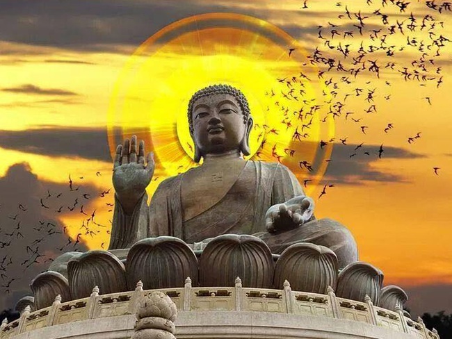 Quy luật mà ngay cả Đức Phật cũng không thể an bày, tránh bị nó tàn phá thì hãy học theo 3 chú &quot;khỉ tam không&quot; - Ảnh 1.