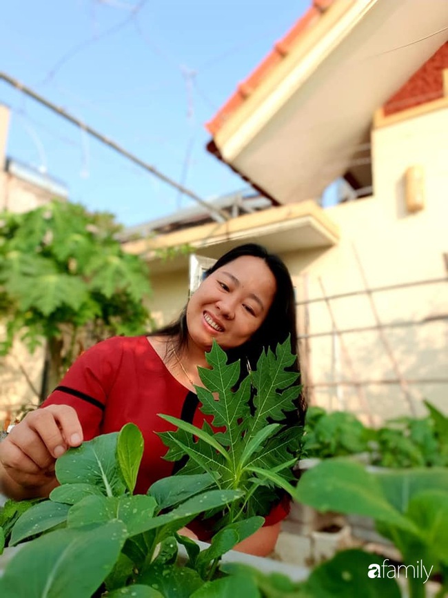 Vườn rau mùa đông nhiều nắng xanh tươi đủ loại của mẹ đảm ở Ninh Hiệp, Hà Nội - Ảnh 3.