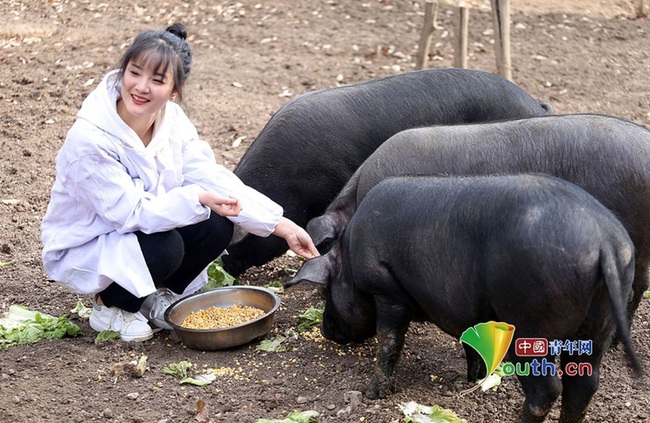 Giữa cơn bão thịt lợn tăng giá, ông bố quyết định trao tặng 300 con lợn cho bất kì ai kết hôn với cô con gái xinh đẹp của mình - Ảnh 1.