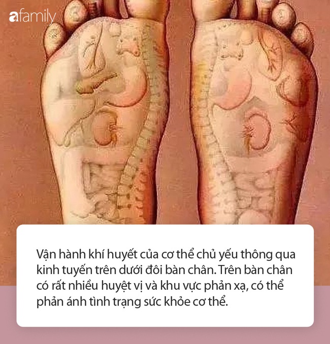 Nếu 4 điểm này của bàn chân không có dấu hiệu bất thường, chứng tỏ cơ thể bạn rất khỏe mạnh - Ảnh 1.