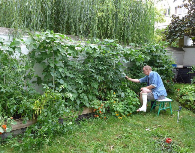 Tận dụng mảnh đất phía sau nhà, người đàn ông đảm đang trồng đủ loại thực phẩm sạch cho cả nhà thưởng thức - Ảnh 1.