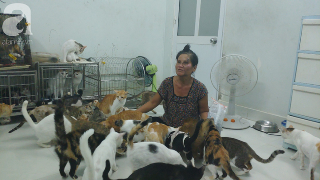 “Người mẹ” của 400 con mèo ở Sài Gòn bật khóc tức tưởi khi bị tông xe còn mang tiếng oan đi bắt trộm mèo - Ảnh 3.