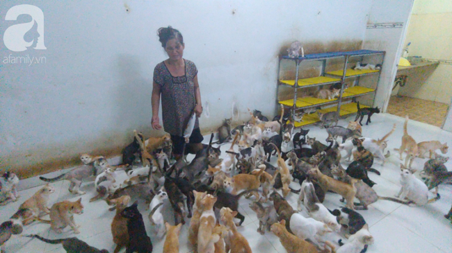 “Người mẹ” của 400 con mèo ở Sài Gòn bật khóc tức tưởi khi bị tông xe còn mang tiếng oan đi bắt trộm mèo - Ảnh 10.