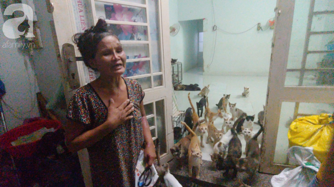 “Người mẹ” của 400 con mèo ở Sài Gòn bật khóc tức tưởi khi bị tông xe còn mang tiếng oan đi bắt trộm mèo - Ảnh 1.