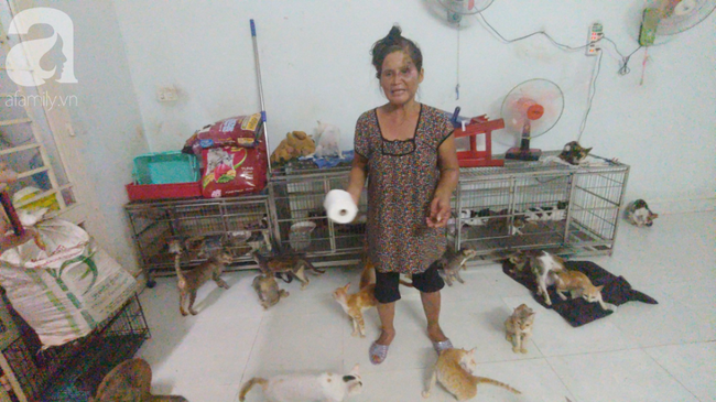 “Người mẹ” của 400 con mèo ở Sài Gòn bật khóc tức tưởi khi bị tông xe còn mang tiếng oan đi bắt trộm mèo - Ảnh 12.