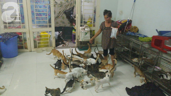 “Người mẹ” của 400 con mèo ở Sài Gòn bật khóc tức tưởi khi bị tông xe còn mang tiếng oan đi bắt trộm mèo - Ảnh 8.