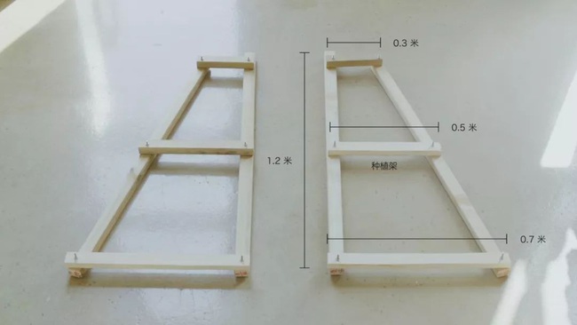 Chỉ vài thao tác đơn giản, bạn có thể tự tạo một vườn rau gia vị xanh tốt trong bếp - Ảnh 3.