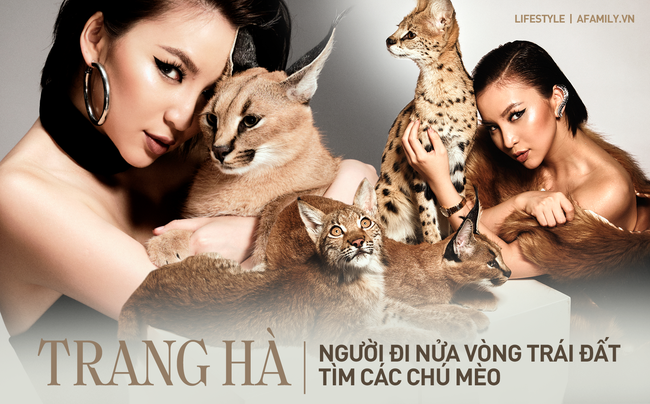 Trang Hà - Cô gái mang những &quot;chú mèo&quot; trị giá hàng tỷ đồng về Việt Nam và tiết lộ trào lưu nuôi thú cưng mới của giới đại gia và siêu giàu tại Sài Gòn - Ảnh 1.