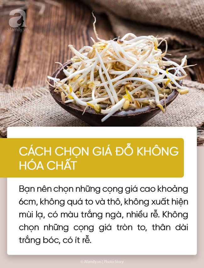 Mách các chị em lần đầu sắm Tết cách lựa chọn rau củ tươi ngon, chất lượng - Ảnh 2.