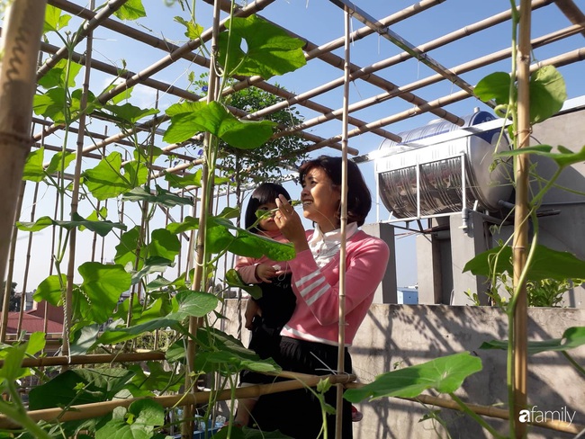 Sân thượng 50m2 trồng đủ loại rau sạch và hoa hồng của bà mẹ Hà Nội - Ảnh 1.